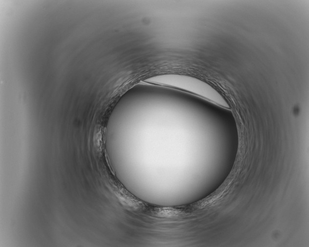 X0000095120336200712070949