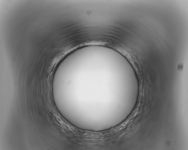 X0000095120337200712070948