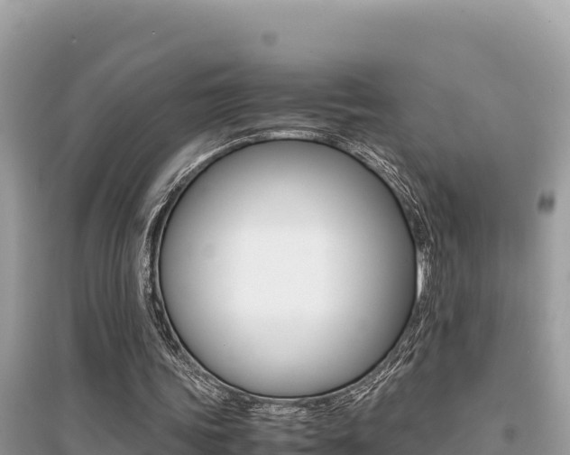X0000095120339200712070948