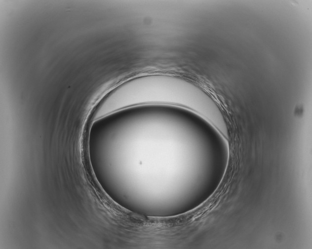 X0000095120340200712070948