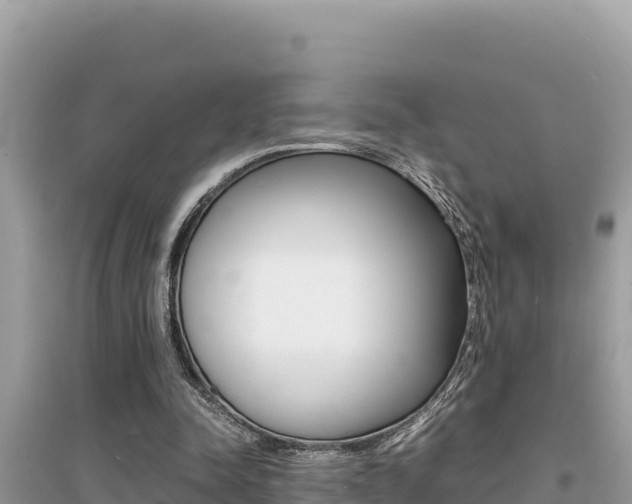 X0000095120342200712070948