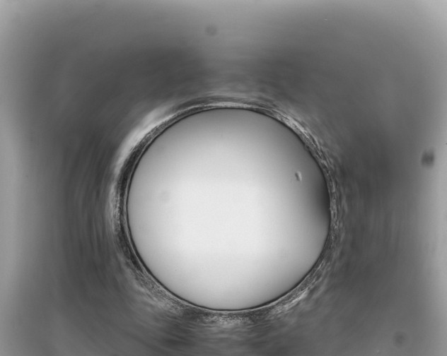 X0000095120343200712070948