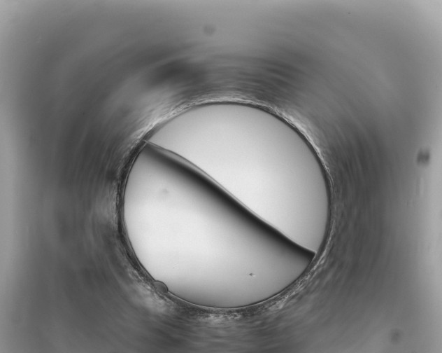 X0000095120345200712070948