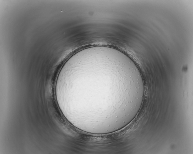 X0000095120347200712070948