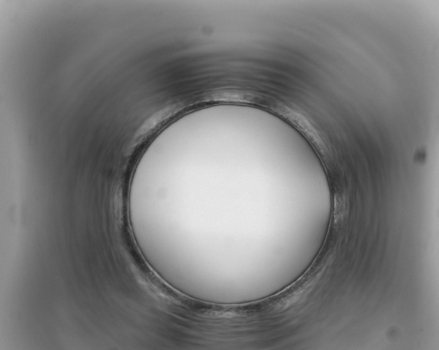 X0000095120349200712070948