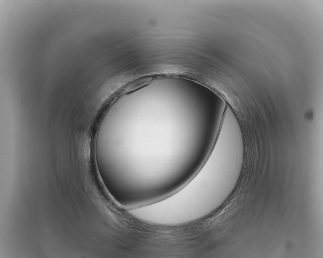 X0000095120350200712070948