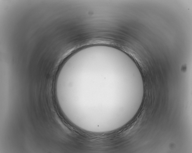 X0000095120352200712070949