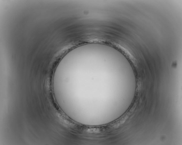 X0000095120353200712070949