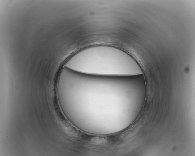 X0000095120354200712070949