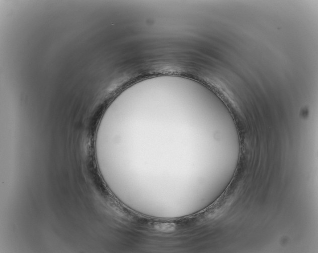 X0000095120355200712070949