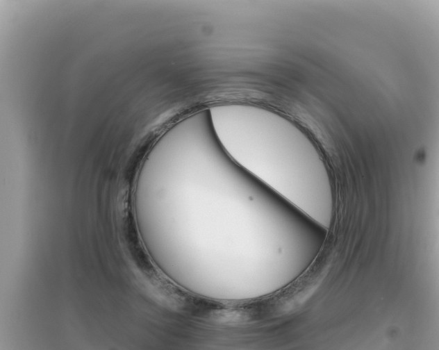 X0000095120356200712070949