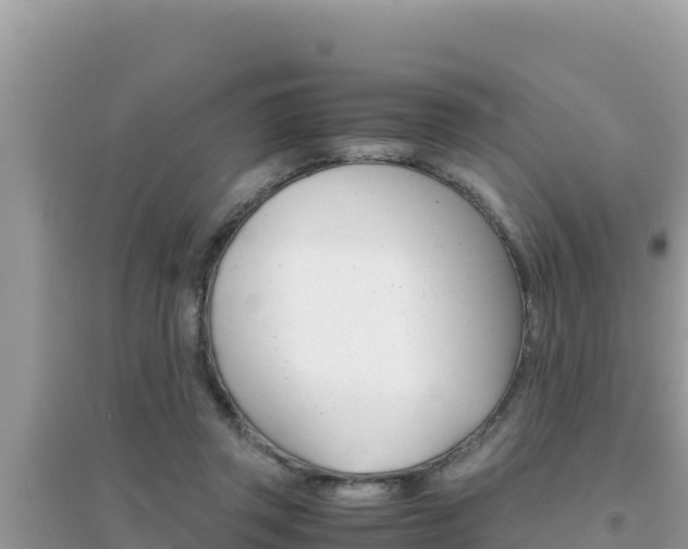 X0000095120357200712070949
