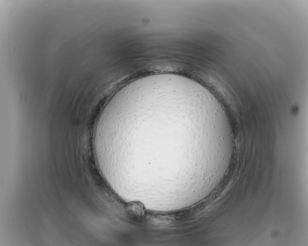 X0000095120359200712070949