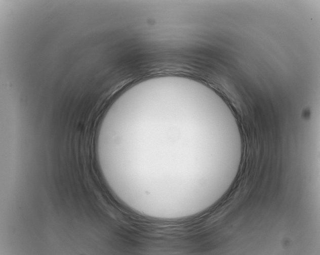 X0000095120360200712070949