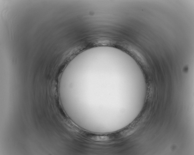 X0000095120361200712070949