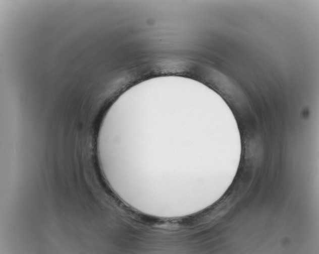 X0000095120362200712070949
