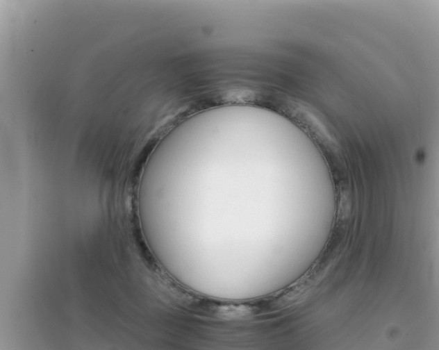 X0000095120363200712070949