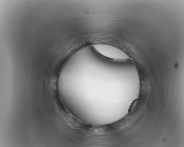 X0000095120368200712070949