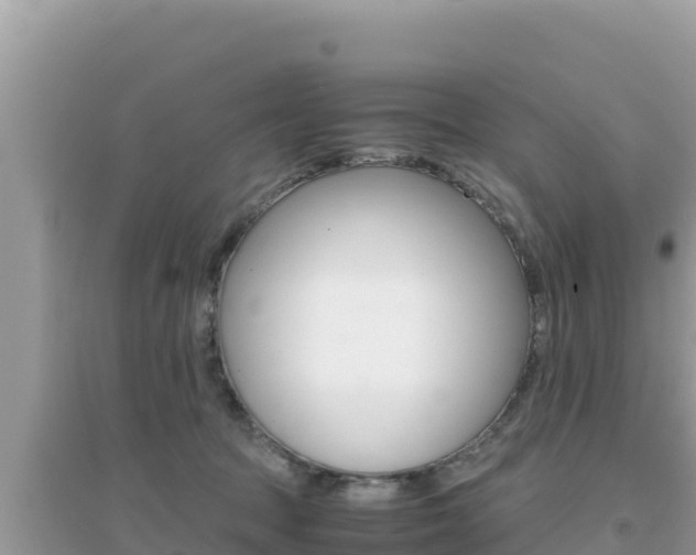 X0000095120369200712070949