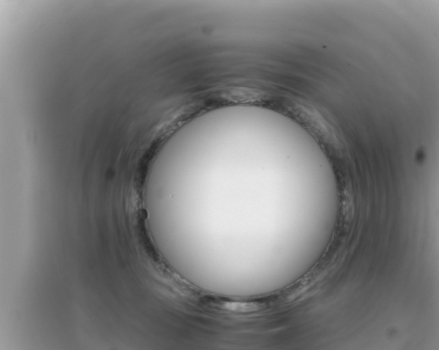 X0000095120371200712070949