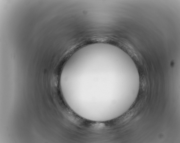 X0000095120374200712070949