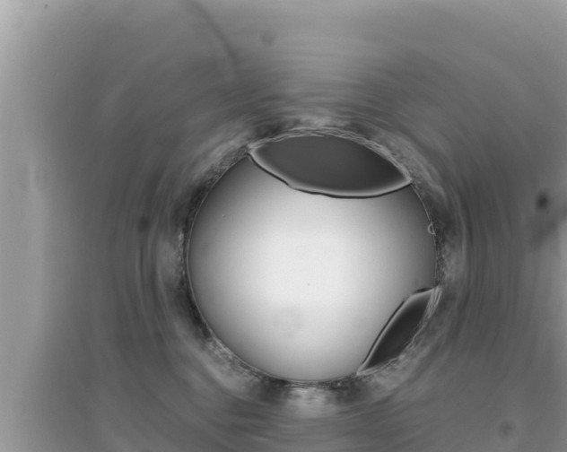 X0000095120376200712070949