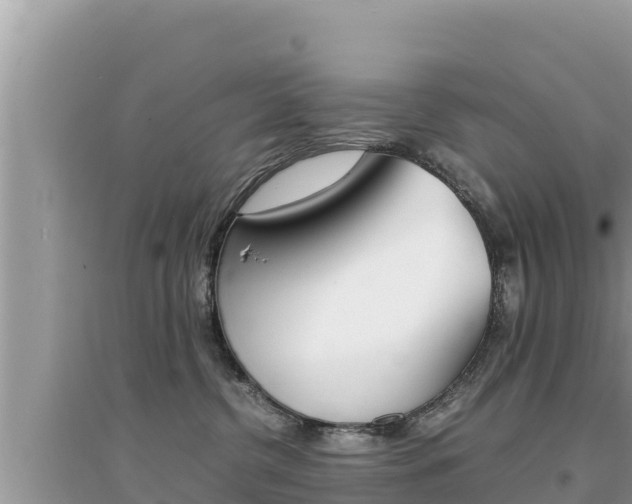 X0000095120380200712070949