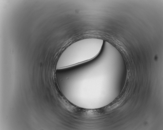 X0000095120382200712070949