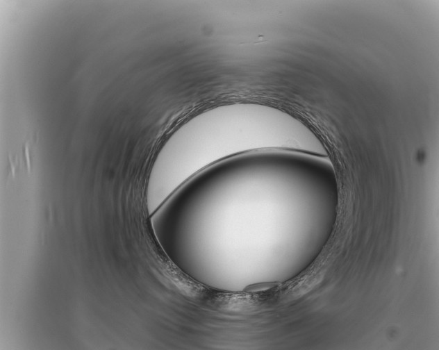 X0000095120384200712070949