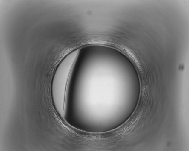 X0000095120385200712070948