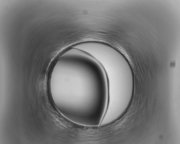 X0000095120387200712070948