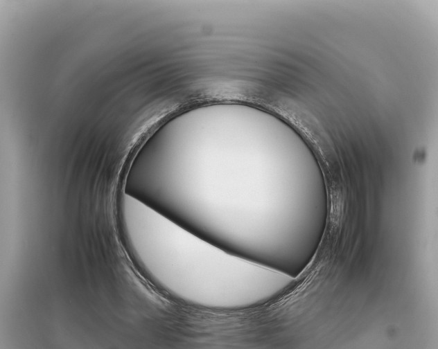 X0000095120390200712070948