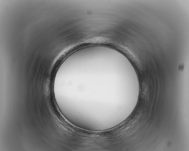 X0000095120392200712070948