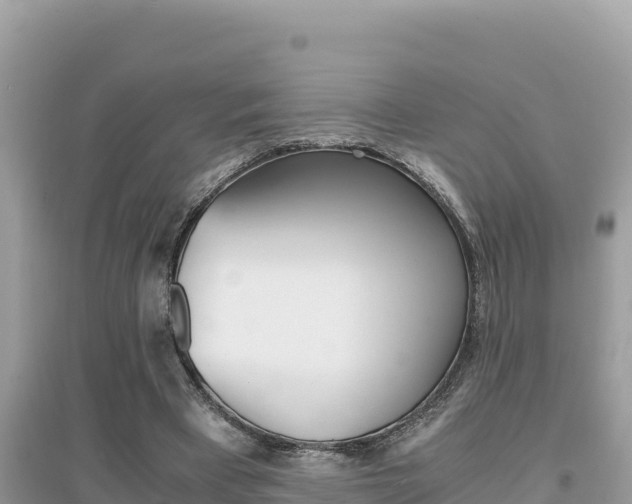 X0000095120393200712070948