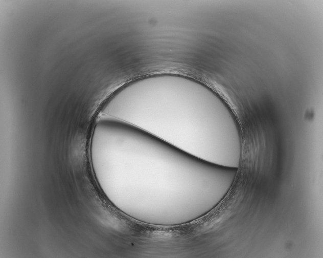X0000095120394200712070948