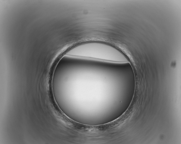 X0000095120395200712070948