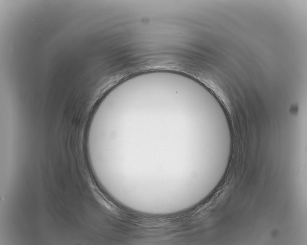 X0000095120397200712070948
