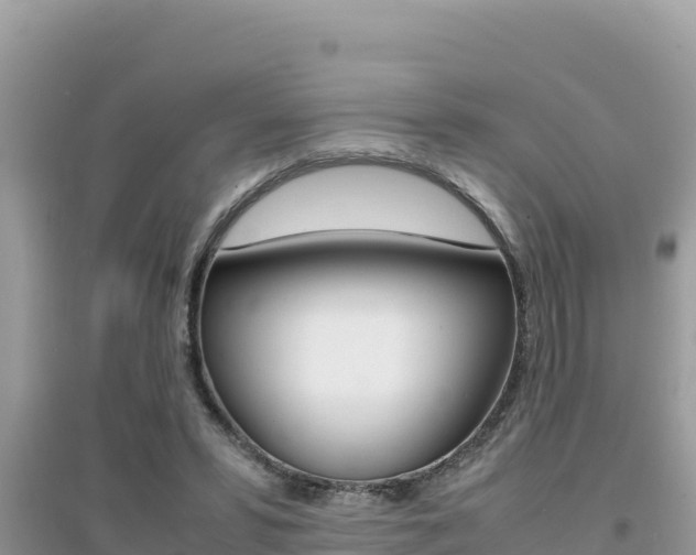 X0000095120399200712070948