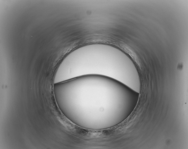 X0000095120401200712070948