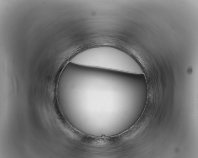 X0000095120402200712070948