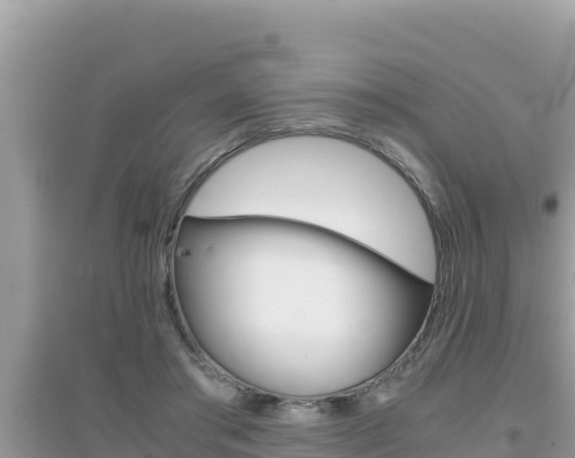 X0000095120405200712070948