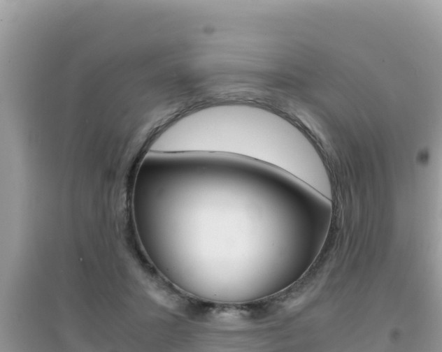 X0000095120407200712070948