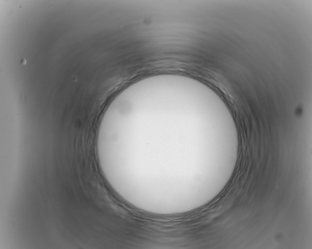 X0000095120411200712070948