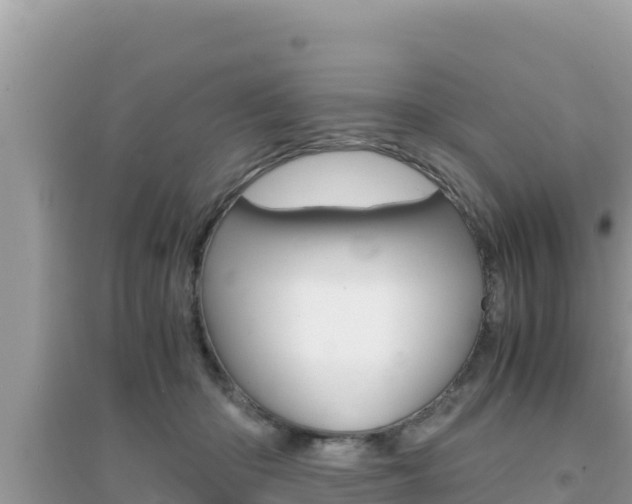 X0000095120414200712070948