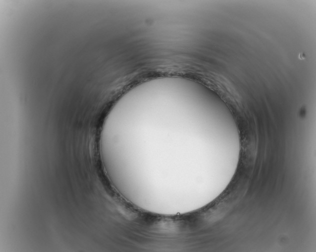 X0000095120416200712070948