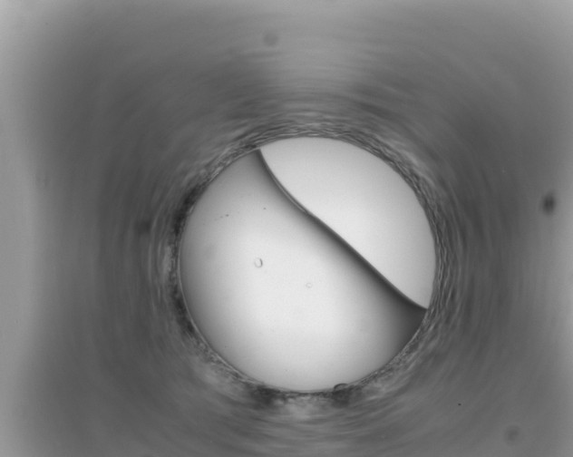 X0000095120417200712070948