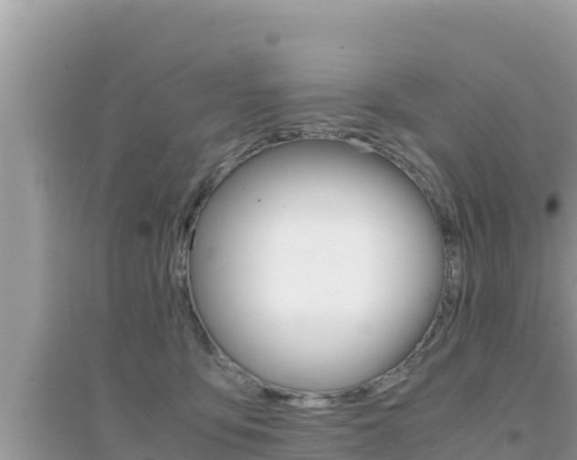X0000095120419200712070948
