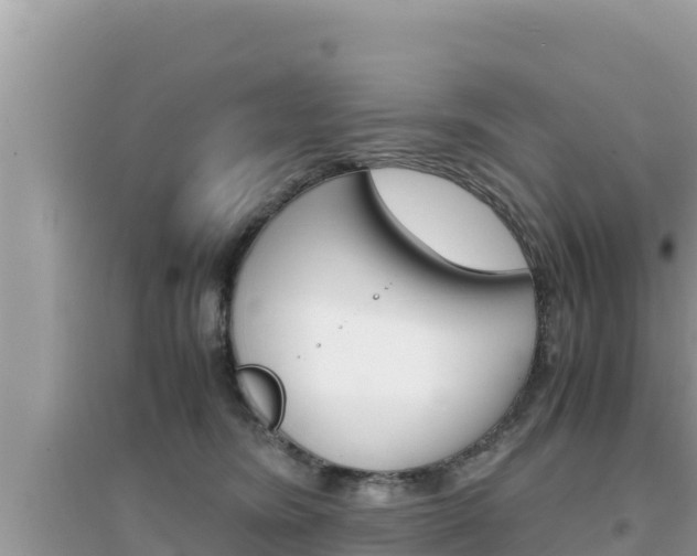 X0000095120420200712070948