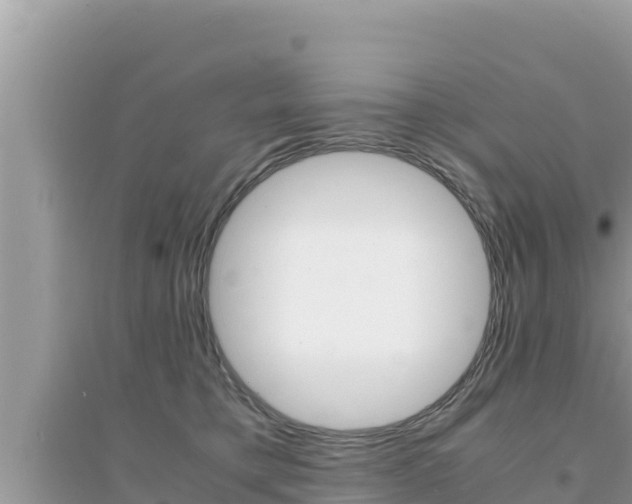 X0000095120421200712070948