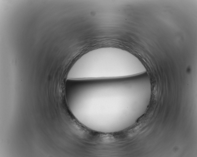 X0000095120424200712070948